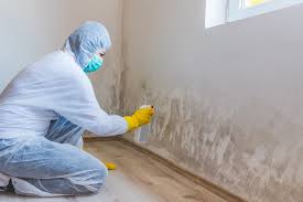 Best Real Estate Mold Inspection  in La Cresta, CA